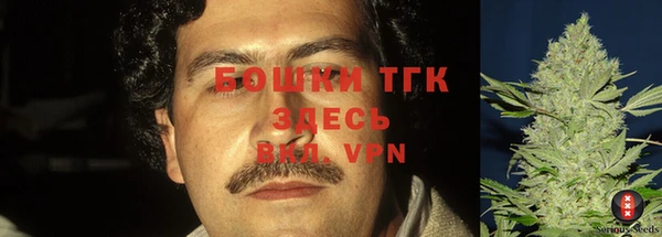 эйфоретик Богданович